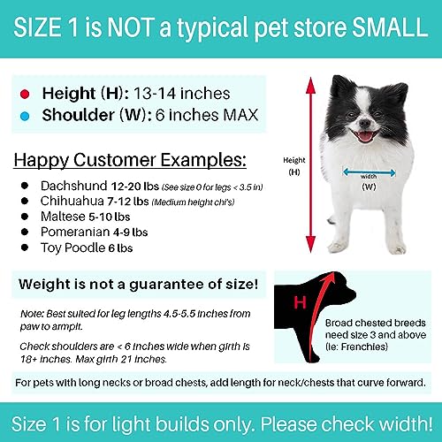 Pandaloon Dog Halloween Costume with Arms for Small and Medium Dogs and Cats A540