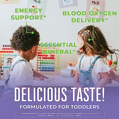 MaryRuth Organics Liquid Iron Supplement for Toddlers 1-3, Sugar Free, 2 Fl Oz L821