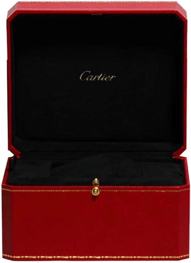 Cartier Santos de Cartier Large Model Automatic Steel Silver-tone Watch W70205