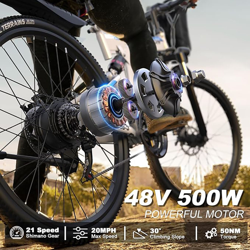 VARUN Electric Bike for Adults Foldable Ebike 750W Motor 48V Removable Battery W82555