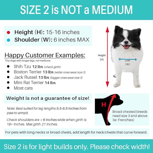 Pandaloon Dog Halloween Costume with Arms for Small and Medium Dogs and Cats A540