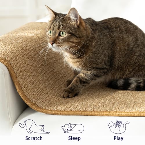 Cat Wall Climbing Carpet 67" x 17.5" with Fixed Nails for Indoor Cats O866