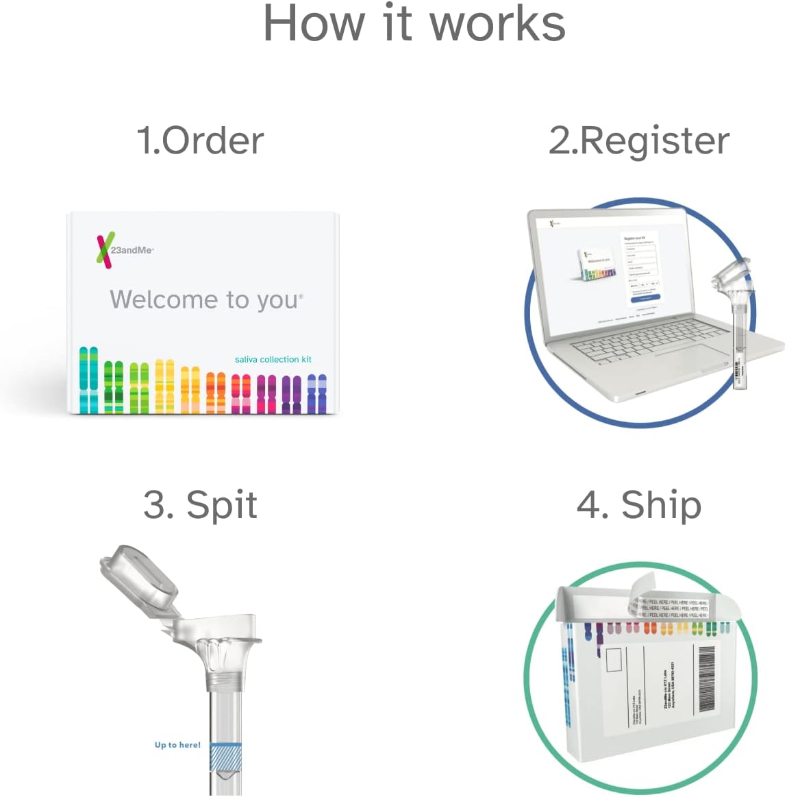 23andMe+ Premium Membership Bundle - DNA Kit with Health + Ancestry Service C78224