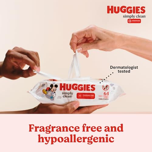 Huggies Simply Clean Fragrance-Free Baby Wipes, 11 Flip-Top Packs G769