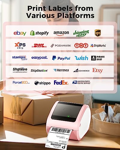 COLORWING D520 Bluetooth Thermal Label Printer 4x6 for Small Business T4517