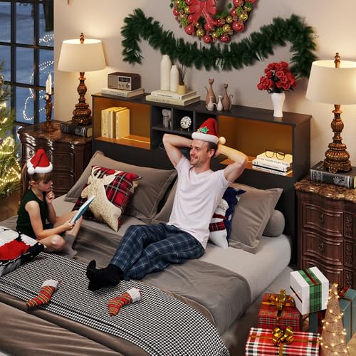 King Size Bed Headboard with LED Light and Storage Bookcase H72493