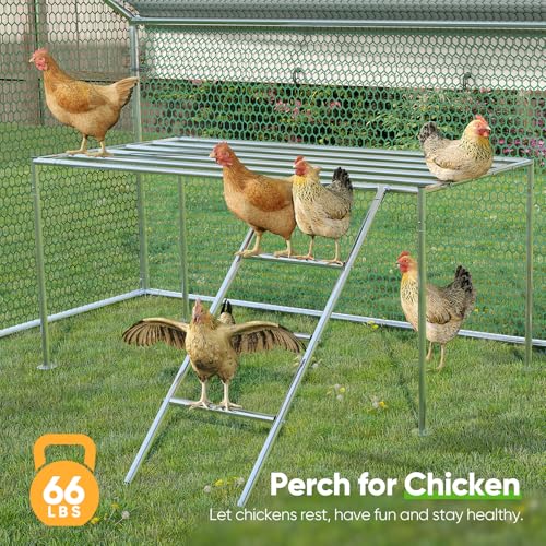 Quictent Large Metal Chicken Coop Run with Roosting Perch for 20+ Poultry, Outdoor Walk-in Hen House, 12x9x6.6FT N28773