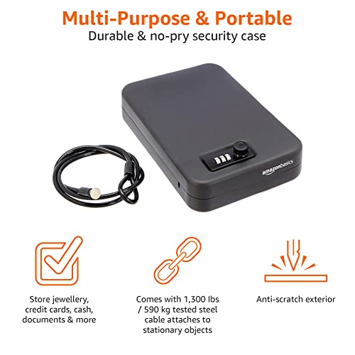 Amazon Basics Portable Security Case Lock Box Safe, Large, Black J830224
