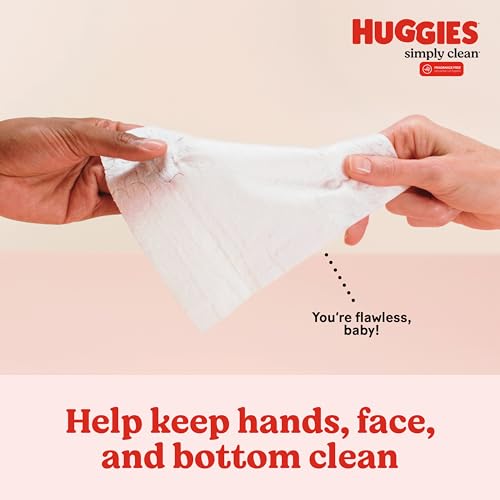 Huggies Simply Clean Fragrance-Free Baby Wipes, 11 Flip-Top Packs G769
