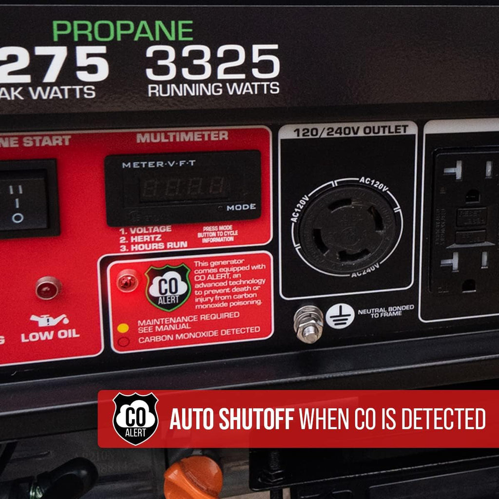 DS4850EH Dual Fuel Portable Generator 4850 Watt Electric Start T115
