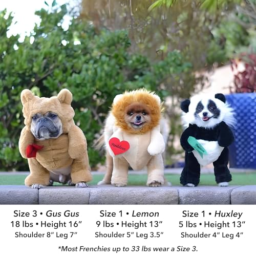 Pandaloon Dog Halloween Costume with Arms for Small and Medium Dogs and Cats A540