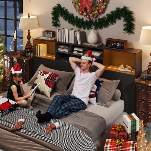King Size Bed Headboard with LED Light and Storage Bookcase H72493
