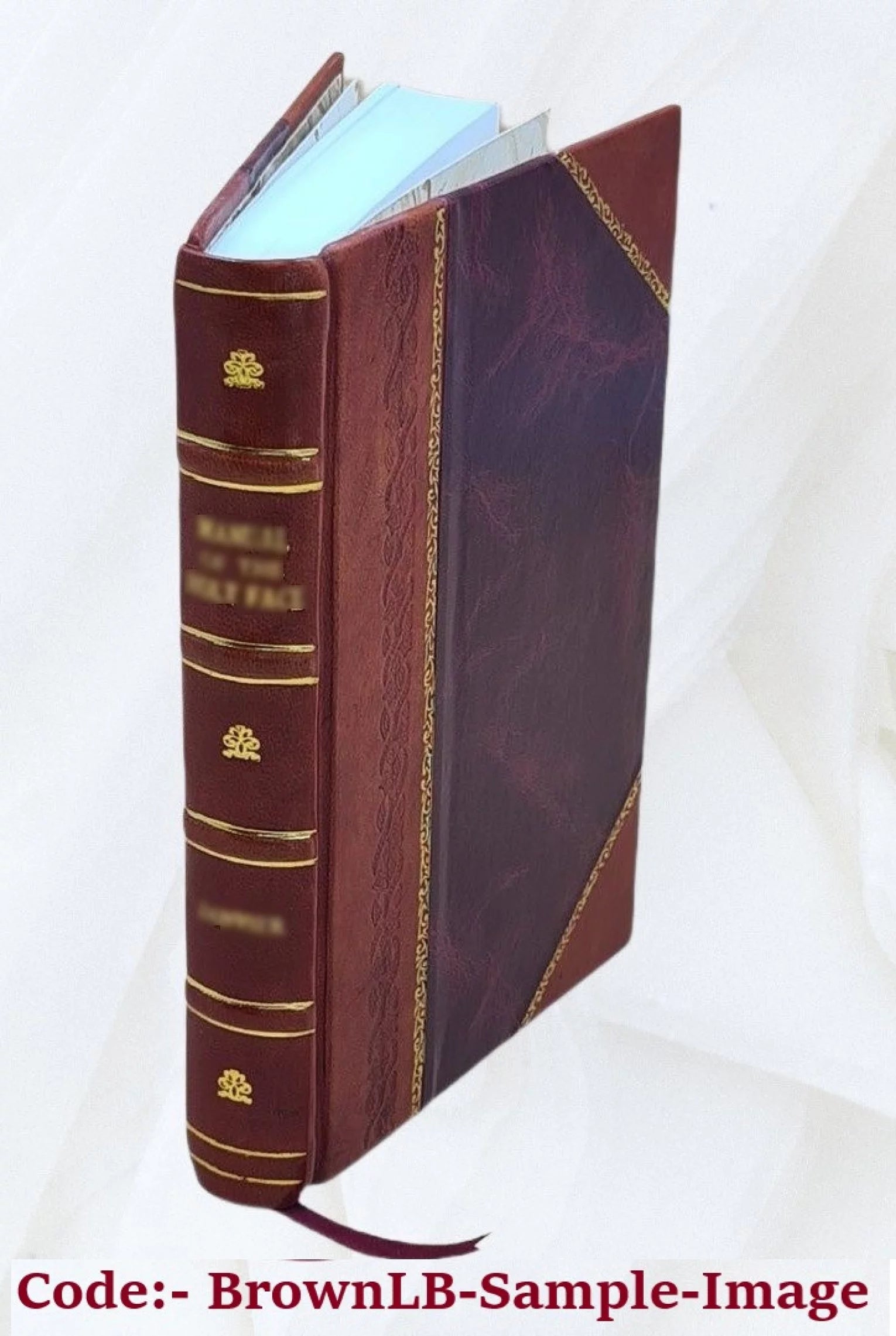 Good old times; or, Grandfather's struggles for a homestead. 1878 [Leather Bound]
