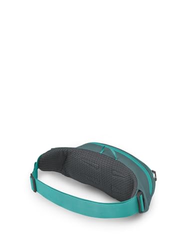 Osprey Daylite Waist Pack F688