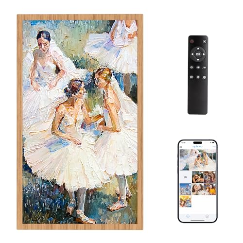 Dragon Touch 10.1'' WiFi Digital Picture Frame HD IPS Touch Screen S798