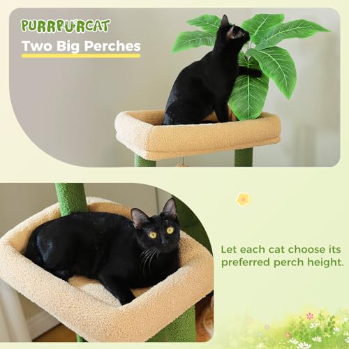 45-Inch Cat Tree with 2 Condos, Scratching Posts and Hammock F616