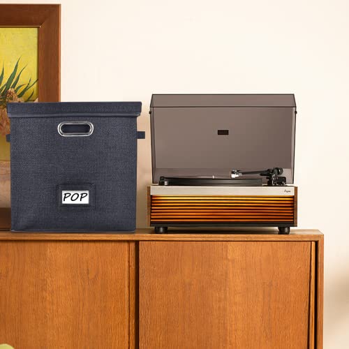 Vinyl Record Storage Box with Lid Holds 50+ LPs Black N6094