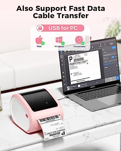 COLORWING D520 Bluetooth Thermal Label Printer 4x6 for Small Business T4517