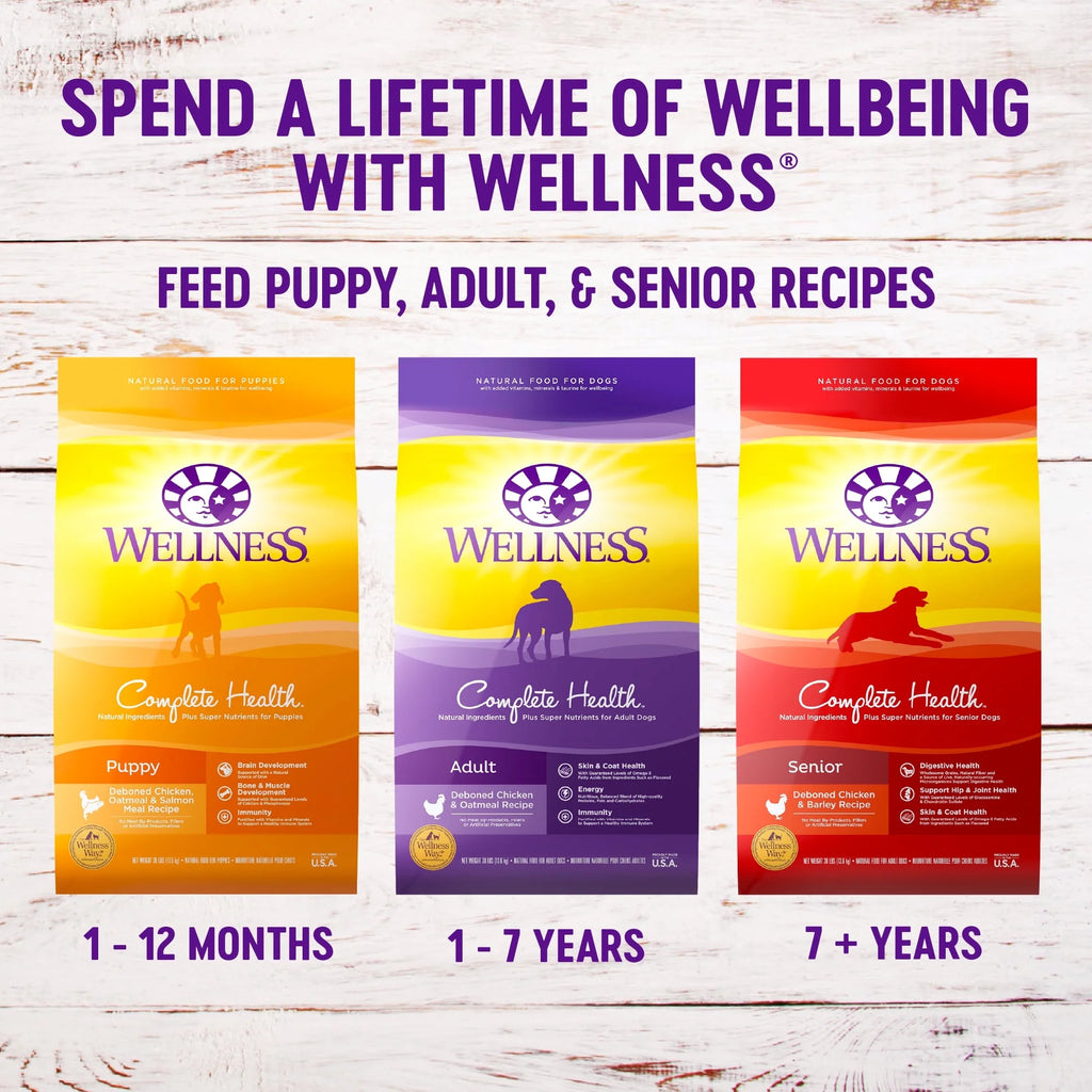 Wellness Complete Health Natural Dry Dog Food, Lamb & Barley, 30 lb Y672403