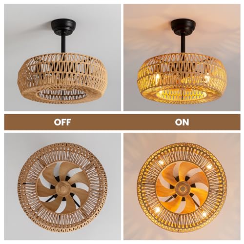 20" Farmhouse Caged Ceiling Fan with Lights and Remote Control R6163
