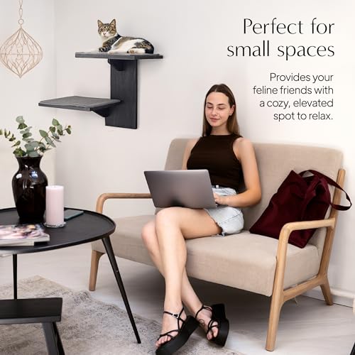 Cat Wall Shelves Two Large Steps Solid Wood with Sisal Scratching Post T8675