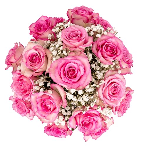 18 Pink Roses and Baby's Breath Bouquet with Vase by Arabella Bouquets A40911