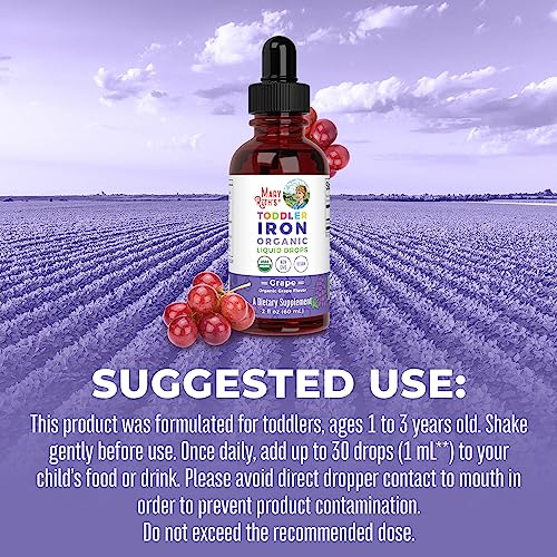 MaryRuth Organics Liquid Iron Supplement for Toddlers 1-3, Sugar Free, 2 Fl Oz L821