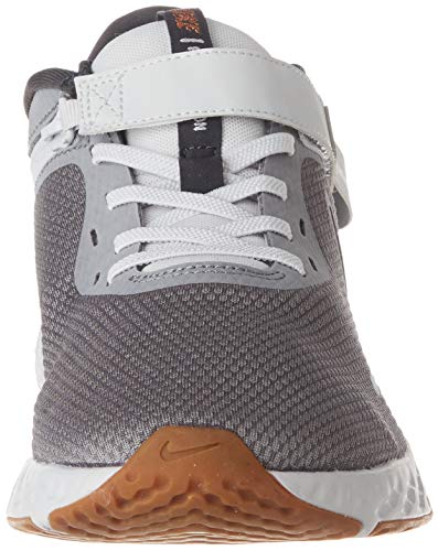 Nike Men's Revolution 5 FlyEase Running Shoes O225