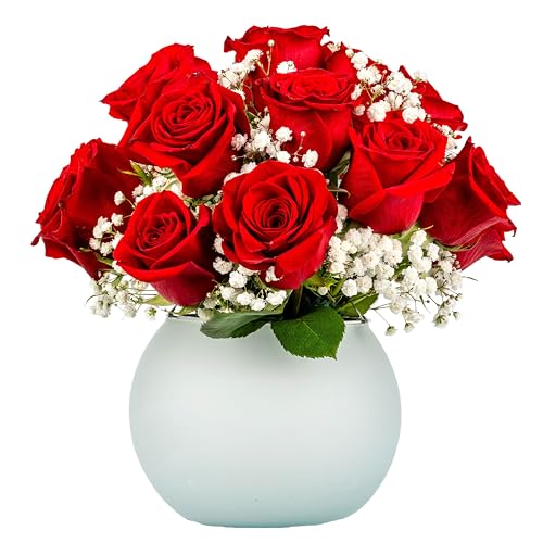 18 Red Roses with Baby Breaths Fresh Flowers Bouquet with Vase | Arabella Bouquets | Flowers for Delivery Graduation, Birthday, Congratulations