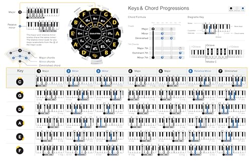 Guitar Chords Chart - Laminated Theory Cheat Sheet for Guitar, 8x8 S112