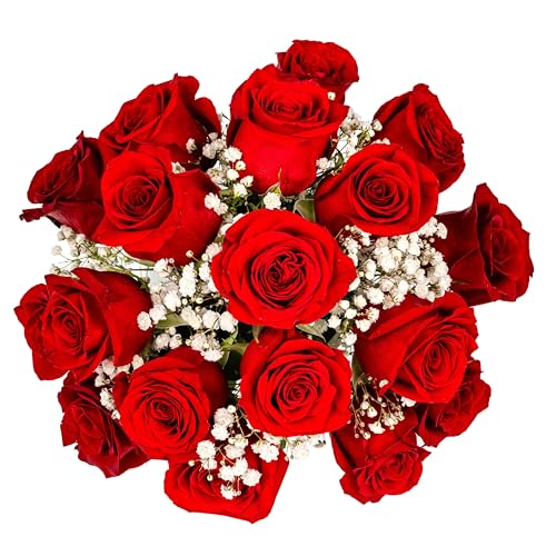18 Red Roses with Baby's Breath Bouquet in Vase by Arabella Bouquets T41083