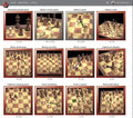 Fritz 19 Chess Playing Software Program bundled with Chess Success II Training Software