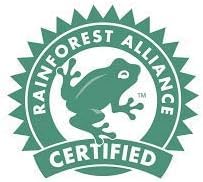 18 Red Roses with Baby's Breath Bouquet in Vase by Arabella Bouquets T41083