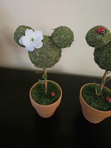 Minnie & Mickey Seasonal Topiary Set, 6 inch, Fall Decor N920