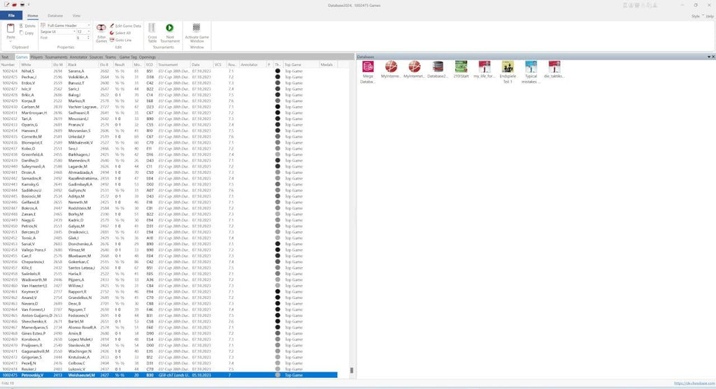Fritz 19 Chess Software with Chess Success II Training G3860