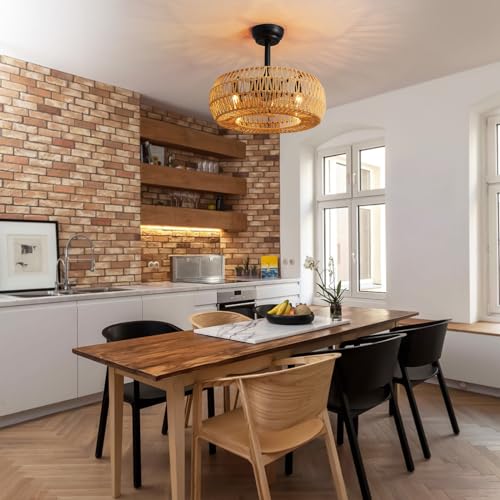 20" Farmhouse Caged Ceiling Fan with Lights and Remote Control R6163