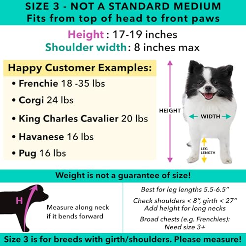 Pandaloon Dog Halloween Costume with Arms for Small and Medium Dogs and Cats A540