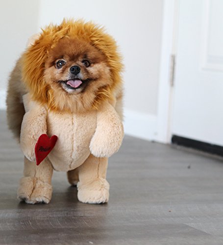 Pandaloon Dog Halloween Costume with Arms for Small and Medium Dogs and Cats A540