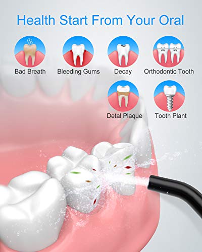 Nicefeel Cordless Water Flosser 300ML Portable Oral Irrigator IPX7 Waterproof D5811