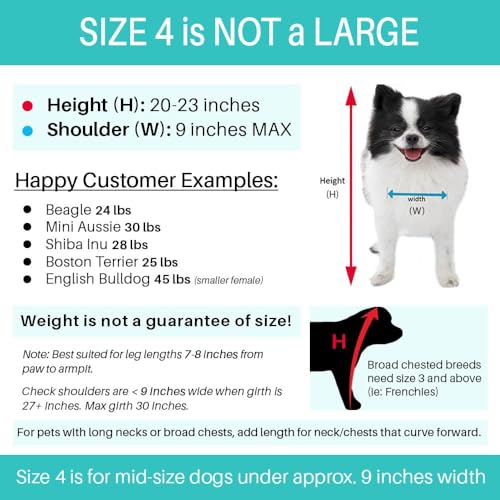 Pandaloon Dog Halloween Costume with Arms for Small and Medium Dogs and Cats A540
