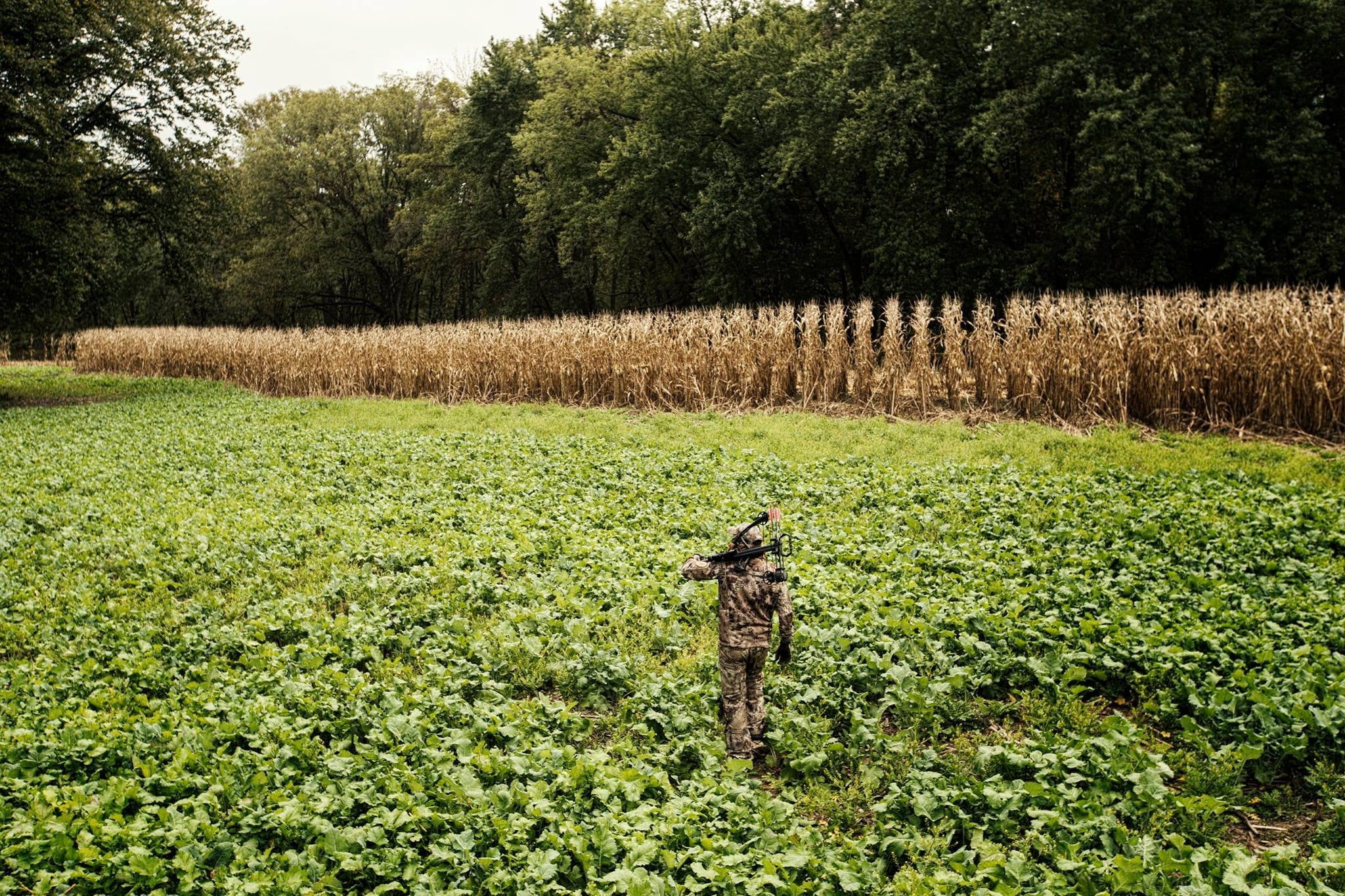 Evolved Harvest Mega Plot Hunter Series Wild Game Food Plot Seed A1164