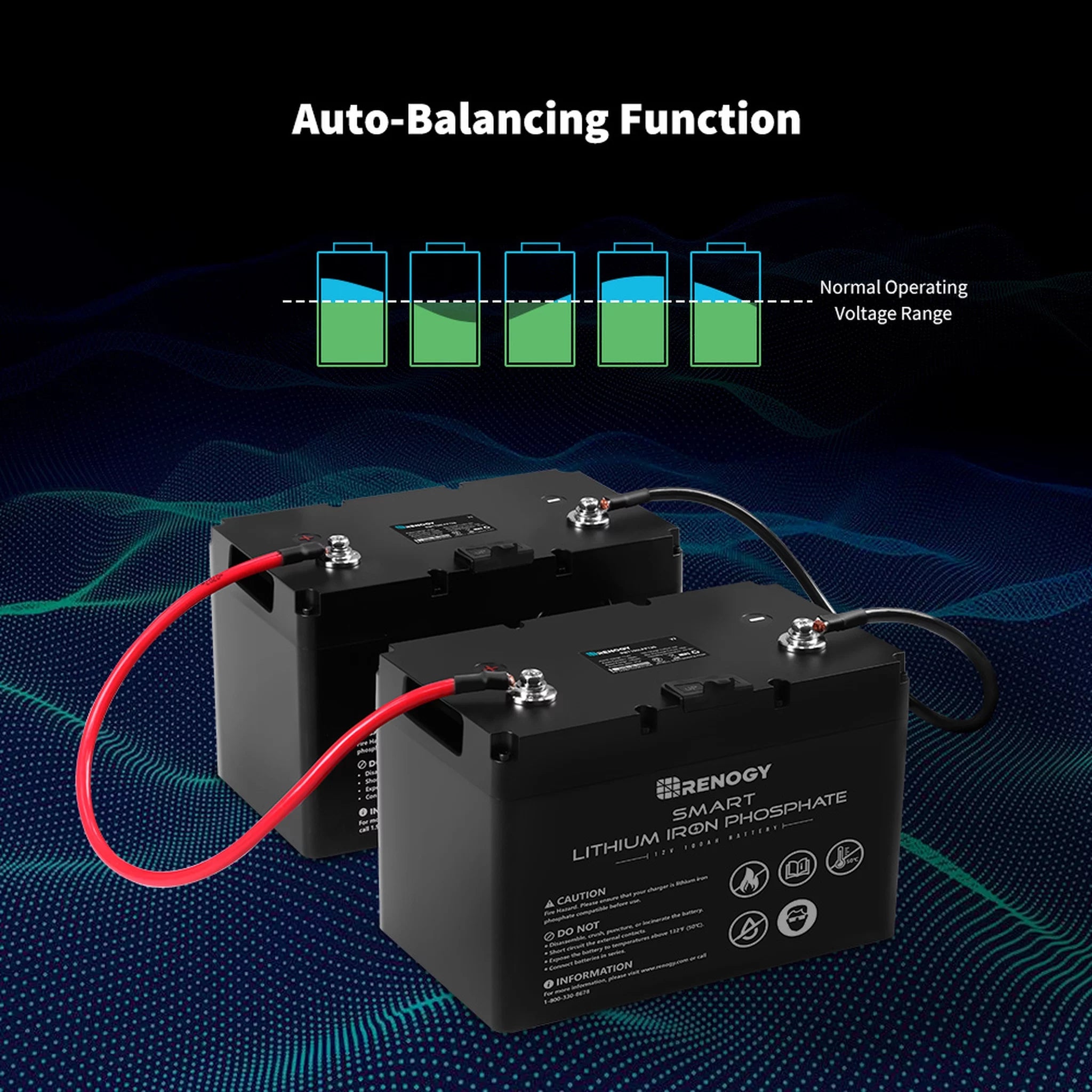 Renogy 12V 100Ah LiFePO4 Deep Cycle Lithium Battery with BMS Q784