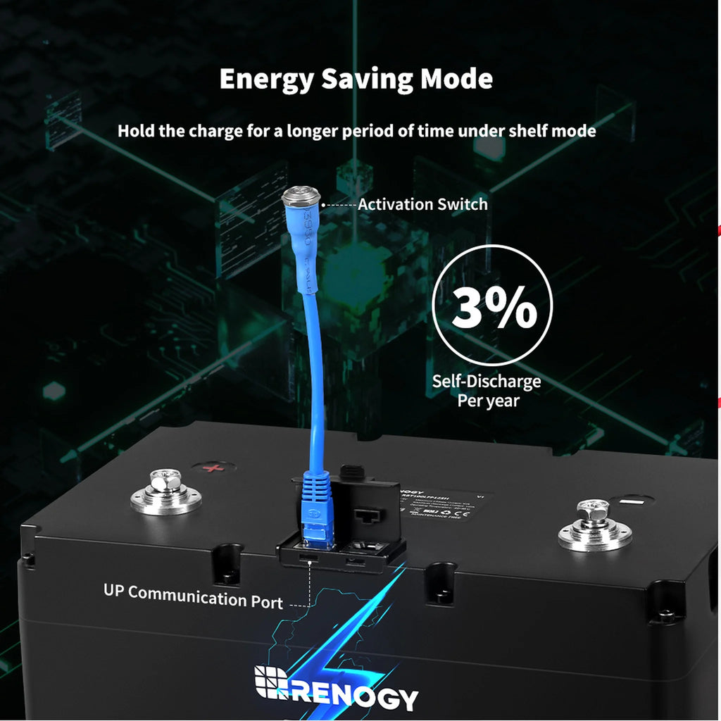 Renogy 12V 100Ah LiFePO4 Deep Cycle Lithium Battery with BMS Q784