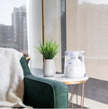 Crane x HALLS® 2-in-1 0.5 Gal. Warm Mist Humidifier & Steam Inhaler C36227