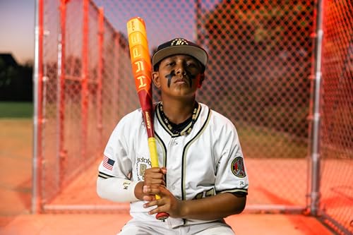 Easton Hype FIRE Baseball Bat USSSA 2 3/4" Barrel 2 Pc. Composite J8658