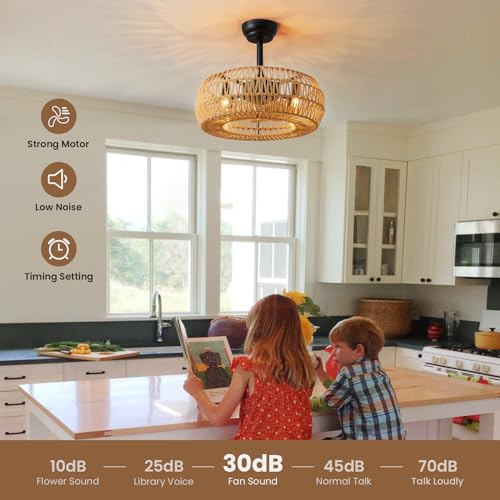 20" Farmhouse Caged Ceiling Fan with Lights and Remote Control R6163