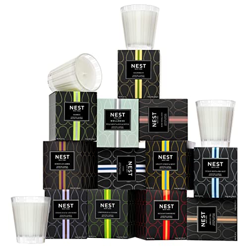 NEST Fragrances Himalayan Salt & Rosewater Classic Candle K10065