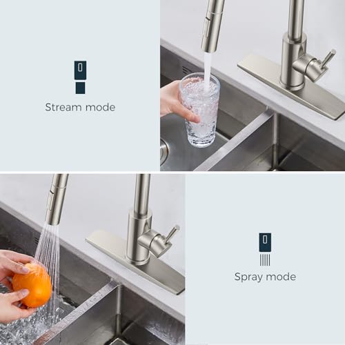 FORIOUS Black Kitchen Faucet with Pull Down Sprayer, Matte Black Stainless Steel W55609