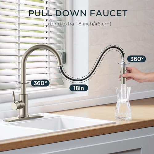 FORIOUS Black Kitchen Faucet with Pull Down Sprayer, Matte Black Stainless Steel W55609
