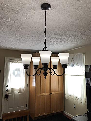 Set of 4 Clear & Frosted Ceiling Fan Light Covers Glass Shade, 5" Diameter M115776